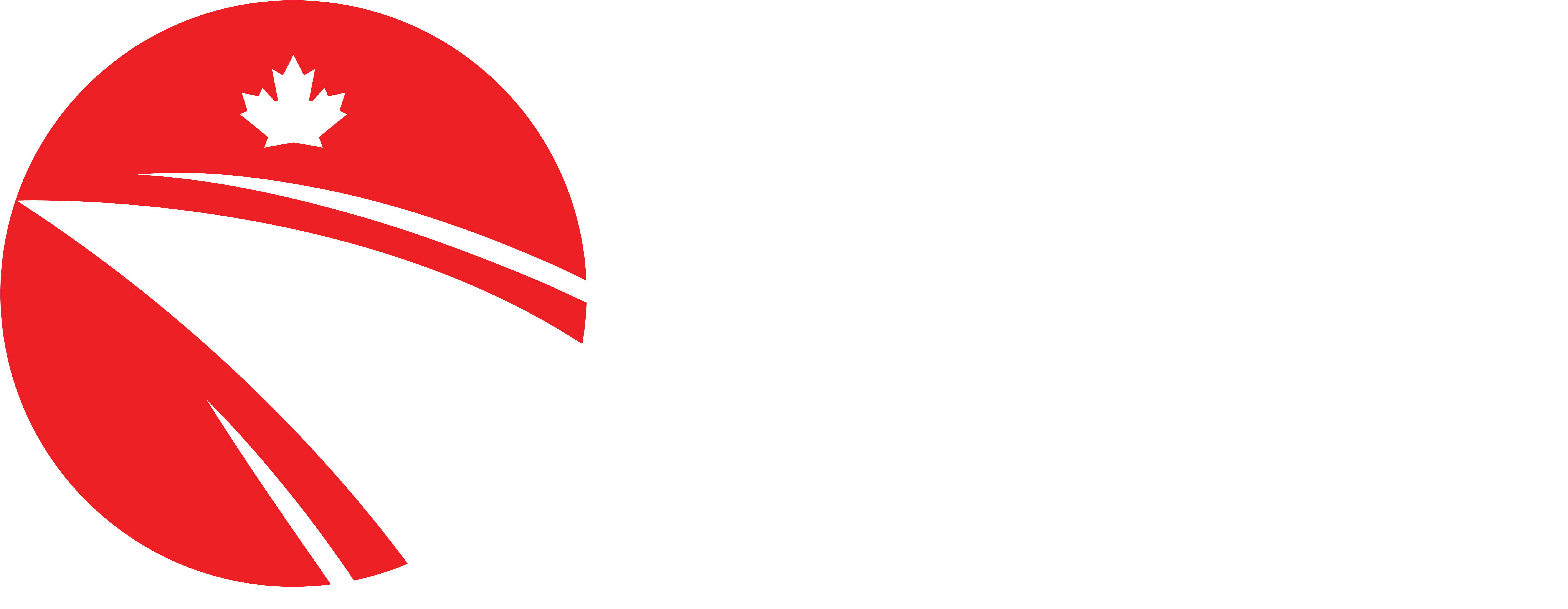 inter-ville logo